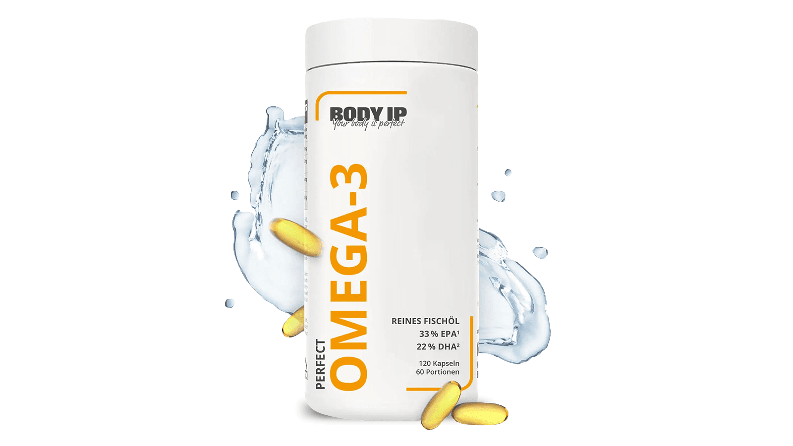 14. Body IP