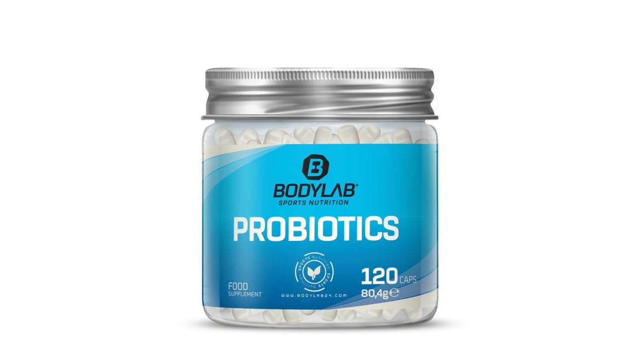 1. BODYLAB