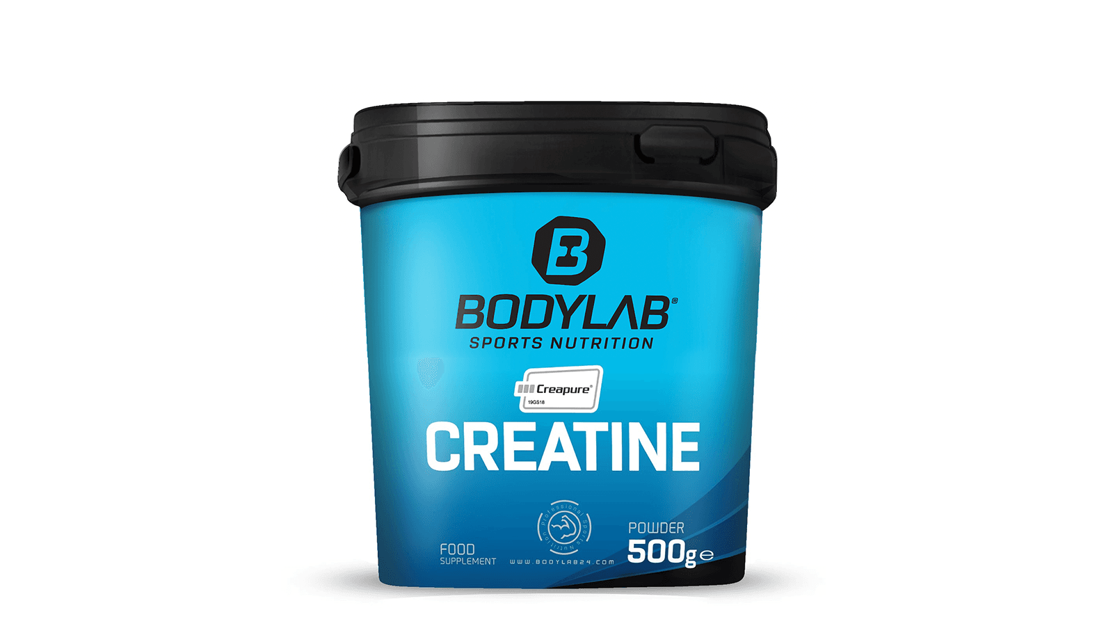 2. BODYLAB