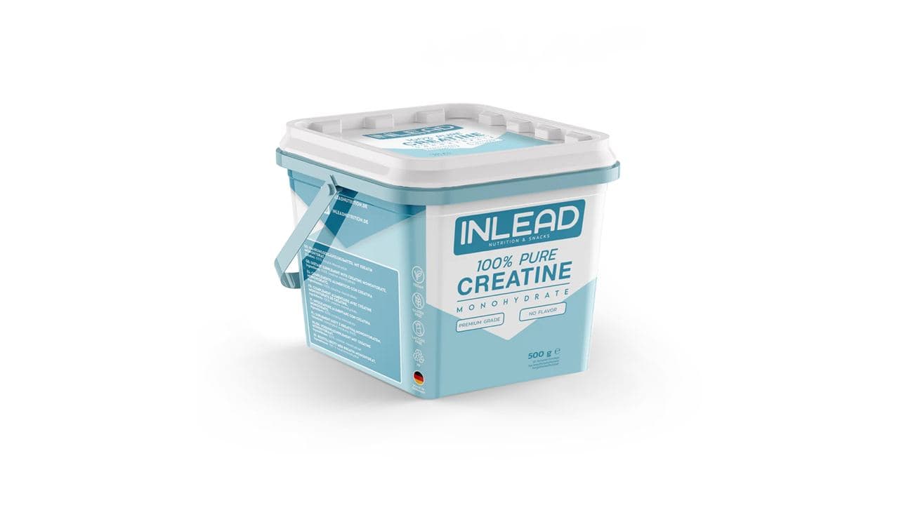 13. INLEAD
