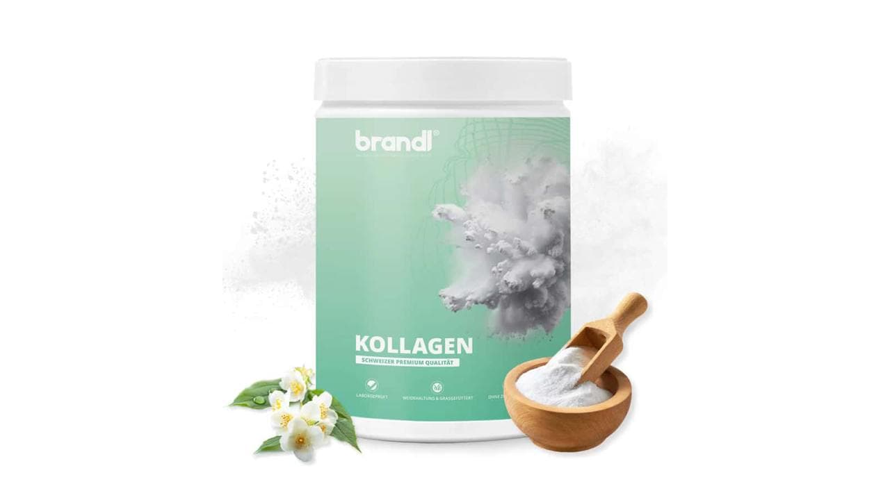14. Brandl