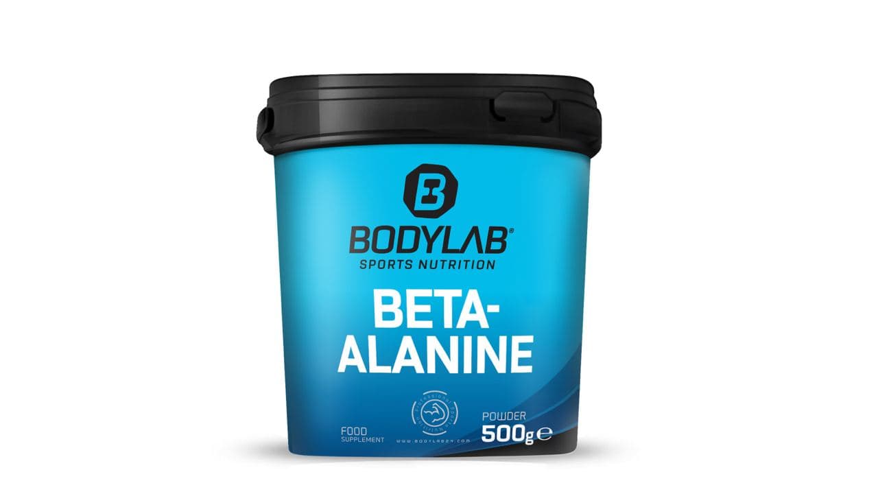 1. BODYLAB