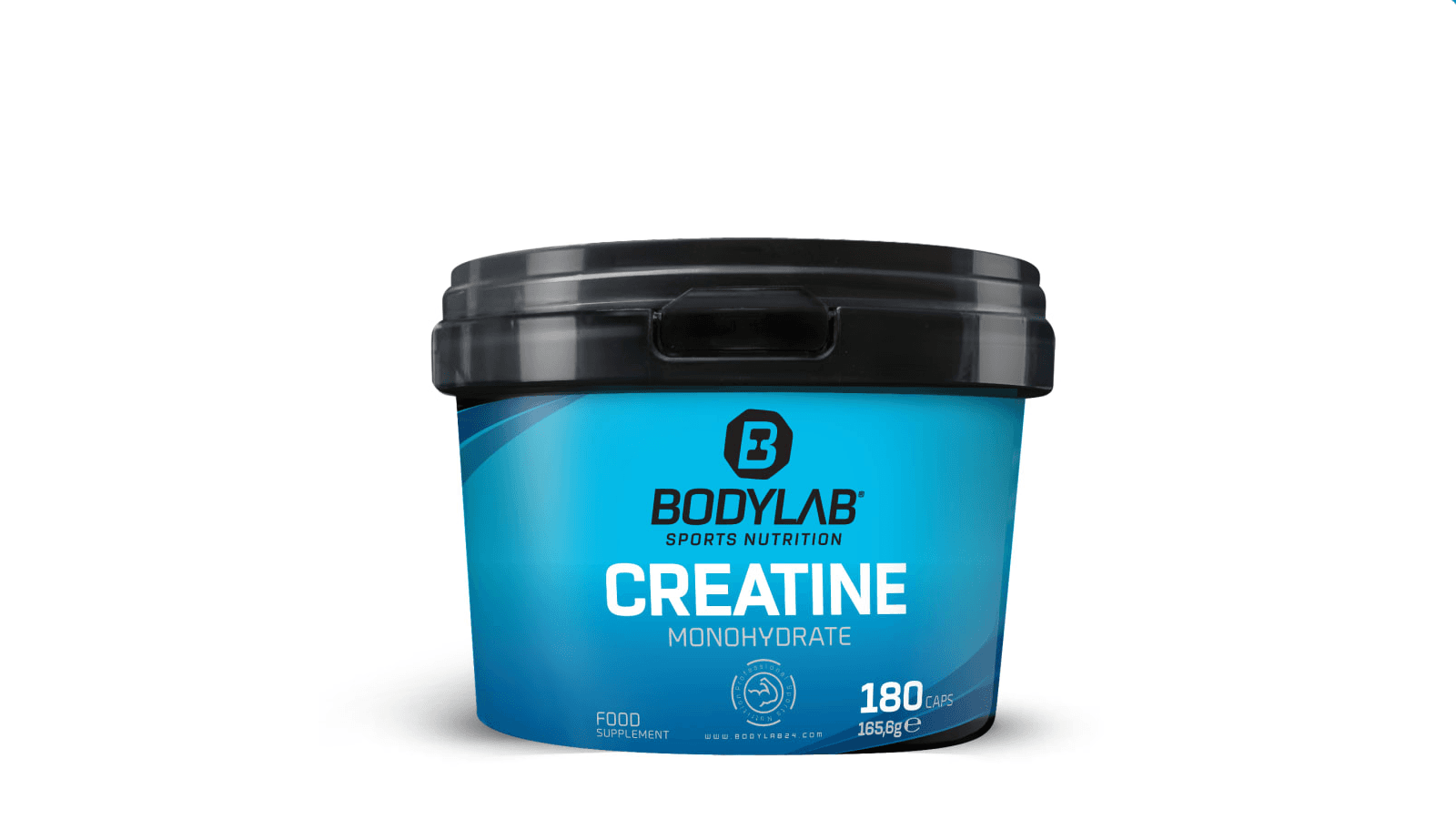 14. BODYLAB