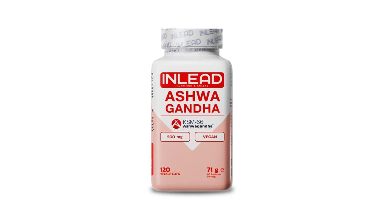 20. INLEAD