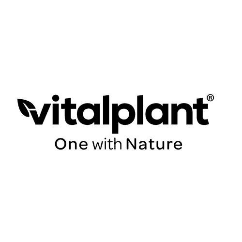 Bild vom Vitaplant Logo